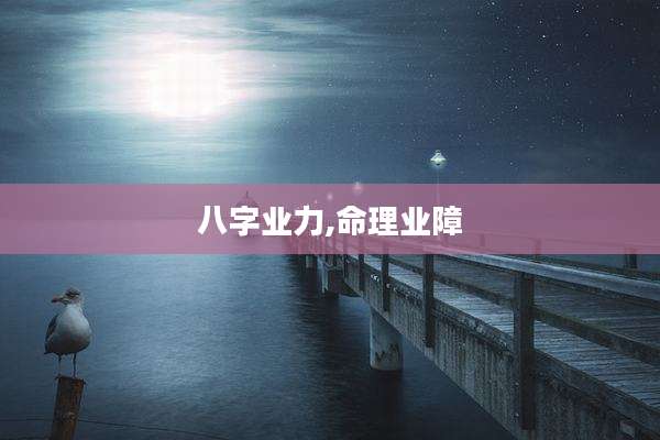 八字业力,命理业障