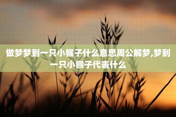 做梦梦到一只小猴子什么意思周公解梦,梦到一只小猴子代表什么