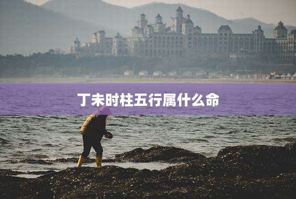 丁未时柱五行属什么命