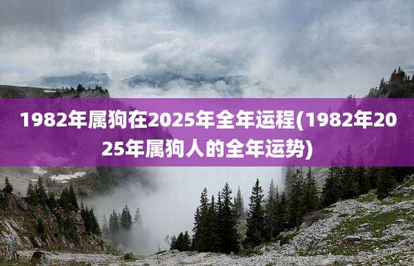 1982年属狗在2025年全年运程(1982年2025年属狗人的全年运势)