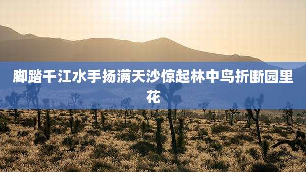 脚踏千江水手扬满天沙惊起林中鸟折断园里花