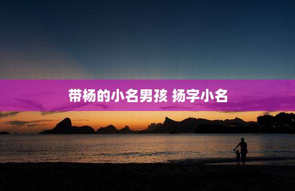 带杨的小名男孩 扬字小名