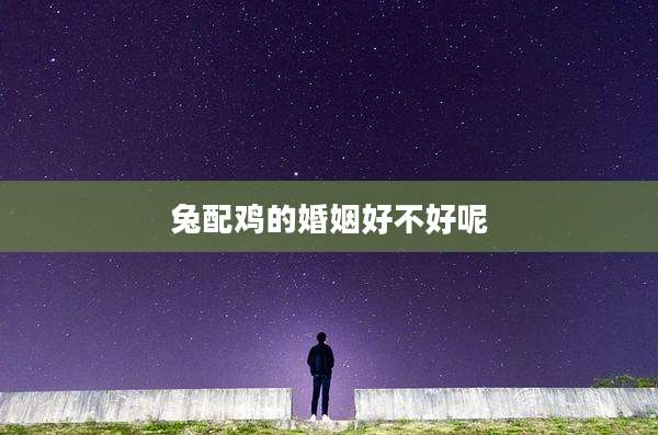 兔配鸡的婚姻好不好呢