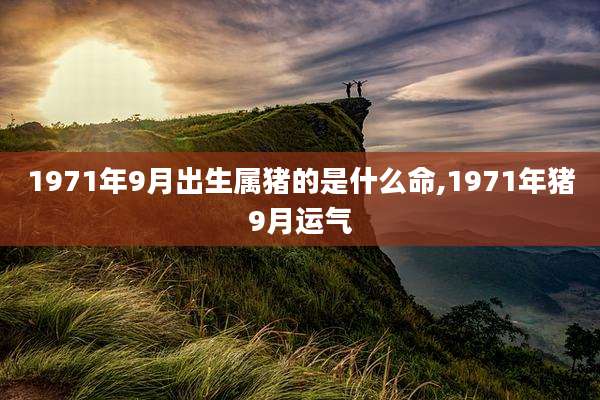 1971年9月出生属猪的是什么命,1971年猪9月运气