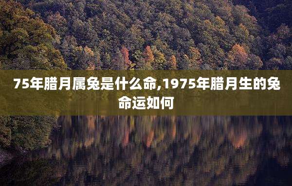 75年腊月属兔是什么命,1975年腊月生的兔命运如何