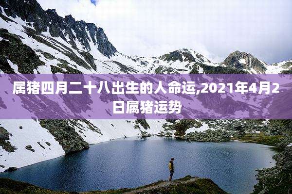 属猪四月二十八出生的人命运,2021年4月2日属猪运势