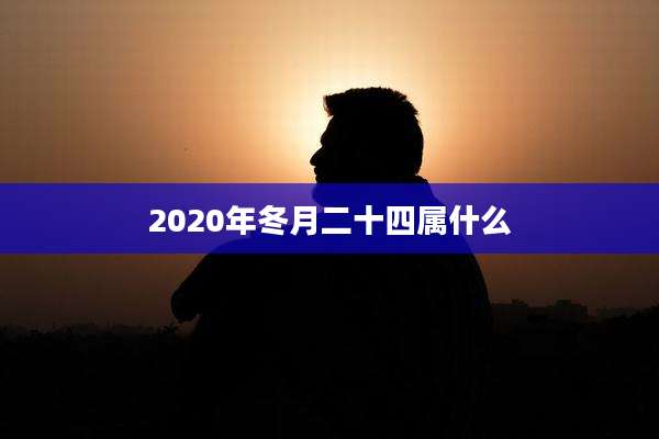 2020年冬月二十四属什么