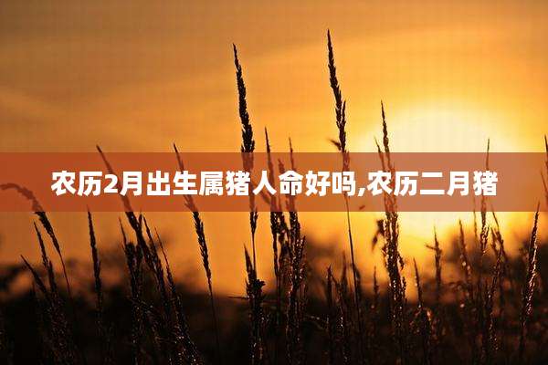 农历2月出生属猪人命好吗,农历二月猪
