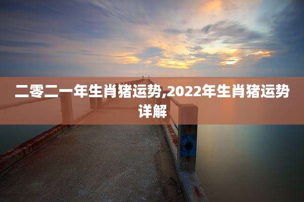 二零二一年生肖猪运势,2022年生肖猪运势详解