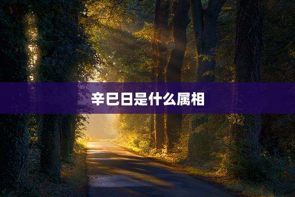 辛巳日是什么属相