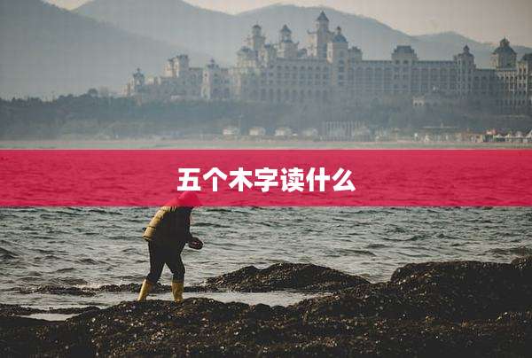 五个木字读什么