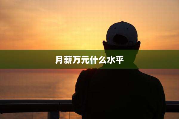 月薪万元什么水平