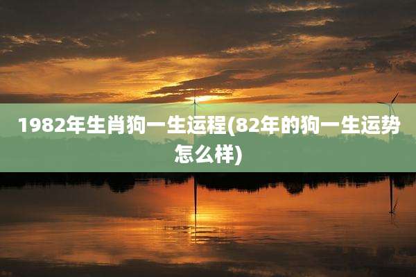 1982年生肖狗一生运程(82年的狗一生运势怎么样)