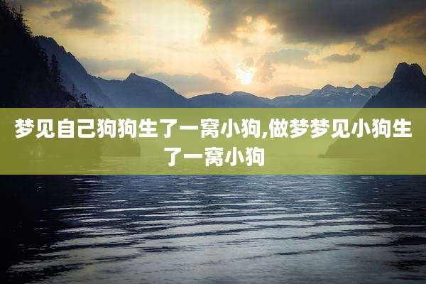 梦见自己狗狗生了一窝小狗,做梦梦见小狗生了一窝小狗
