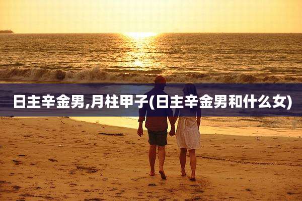 日主辛金男,月柱甲子(日主辛金男和什么女)