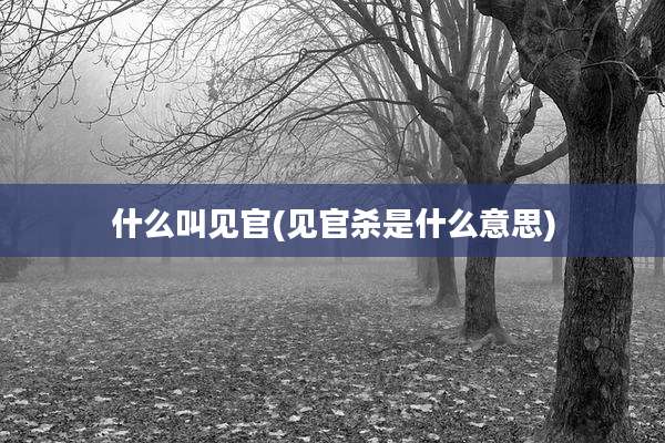 什么叫见官(见官杀是什么意思)