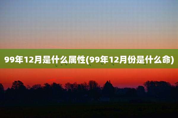 99年12月是什么属性(99年12月份是什么命)