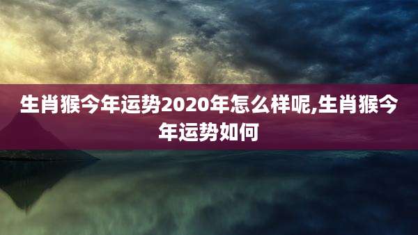 生肖猴今年运势2020年怎么样呢,生肖猴今年运势如何