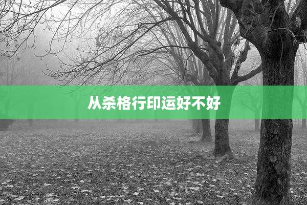 从杀格行印运好不好
