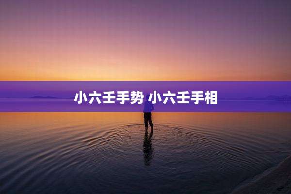 小六壬手势 小六壬手相