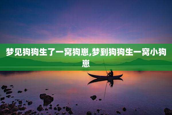 梦见狗狗生了一窝狗崽,梦到狗狗生一窝小狗崽