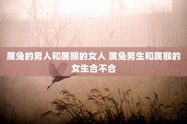 属兔的男人和属猴的女人 属兔男生和属猴的女生合不合