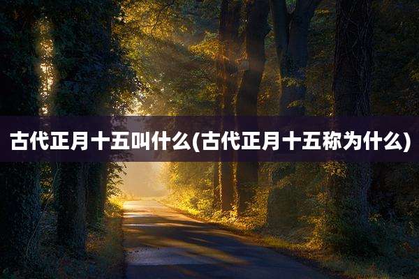 古代正月十五叫什么(古代正月十五称为什么)