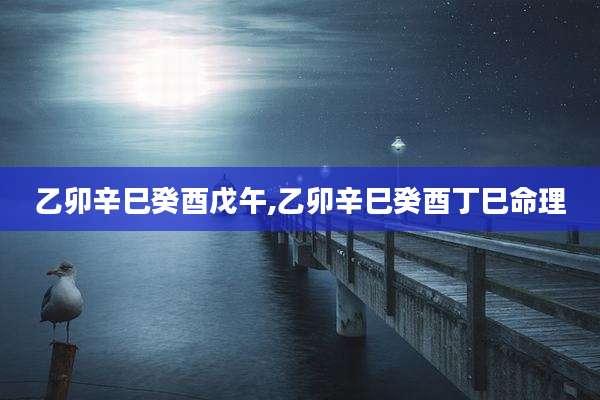 乙卯辛巳癸酉戊午,乙卯辛巳癸酉丁巳命理