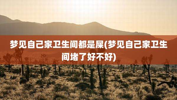 梦见自己家卫生间都是屎(梦见自己家卫生间堵了好不好)