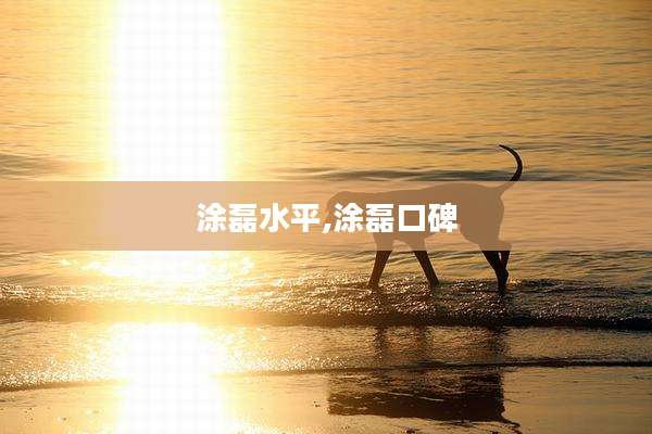 涂磊水平,涂磊口碑
