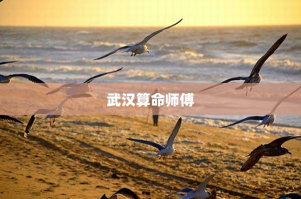 武汉算命师傅