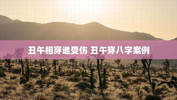 丑午相穿谁受伤 丑午穿八字案例
