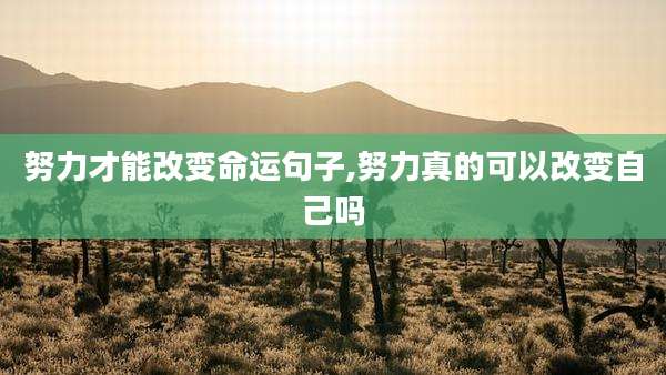 努力才能改变命运句子,努力真的可以改变自己吗