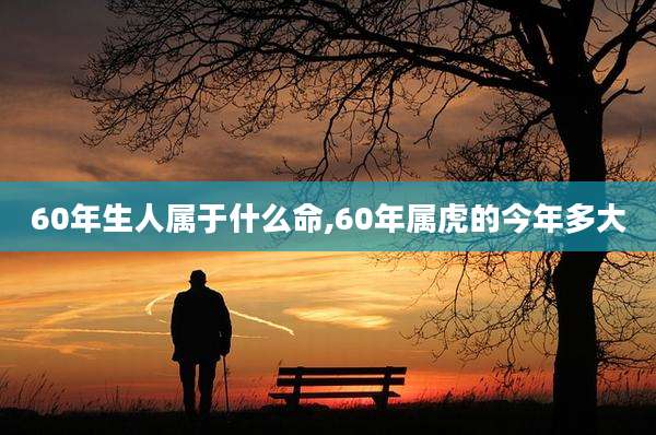 60年生人属于什么命,60年属虎的今年多大