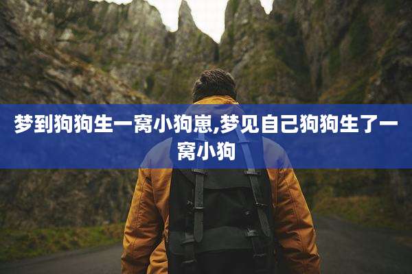梦到狗狗生一窝小狗崽,梦见自己狗狗生了一窝小狗