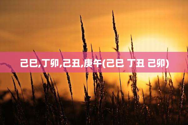 己巳,丁卯,己丑,庚午(己巳 丁丑 己卯)