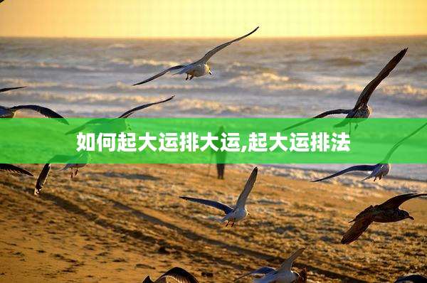 如何起大运排大运,起大运排法