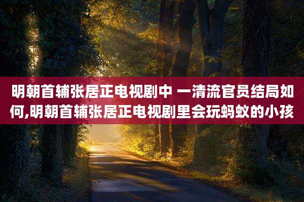 明朝首辅张居正电视剧中 一清流官员结局如何,明朝首辅张居正电视剧里会玩蚂蚁的小孩