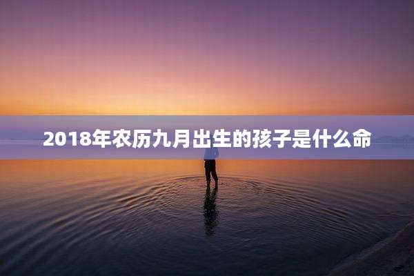 2018年农历九月出生的孩子是什么命