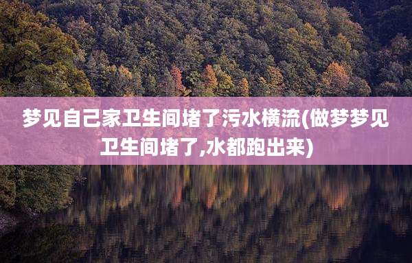 梦见自己家卫生间堵了污水横流(做梦梦见卫生间堵了,水都跑出来)