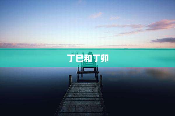 丁巳和丁卯