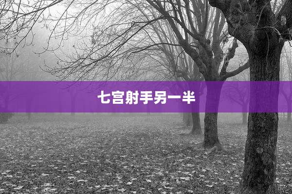 七宫射手另一半