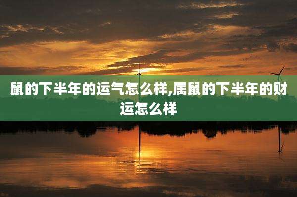 鼠的下半年的运气怎么样,属鼠的下半年的财运怎么样