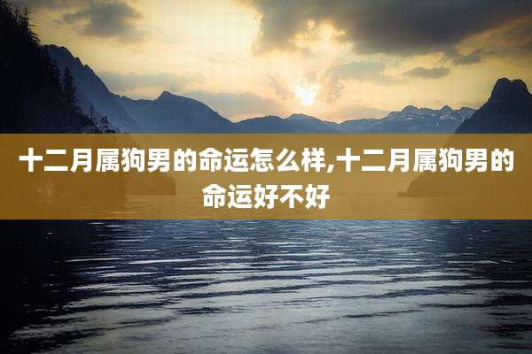 十二月属狗男的命运怎么样,十二月属狗男的命运好不好