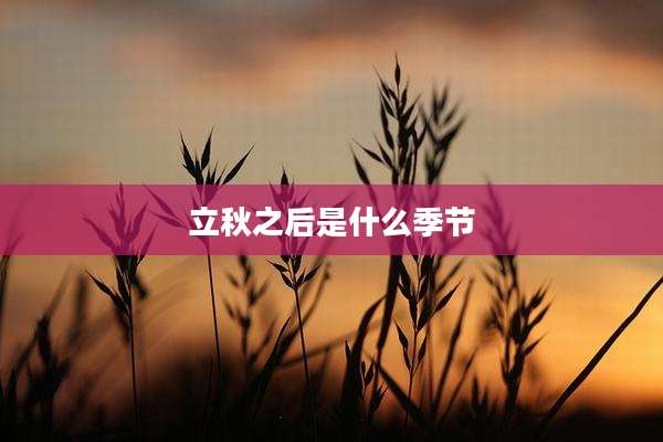 立秋之后是什么季节