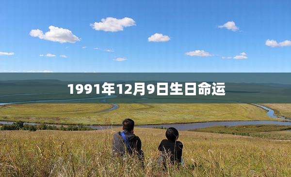 1991年12月9日生日命运