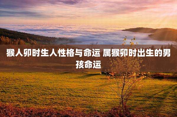 猴人卯时生人性格与命运 属猴卯时出生的男孩命运