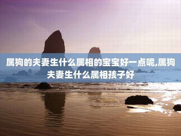 属狗的夫妻生什么属相的宝宝好一点呢,属狗夫妻生什么属相孩子好