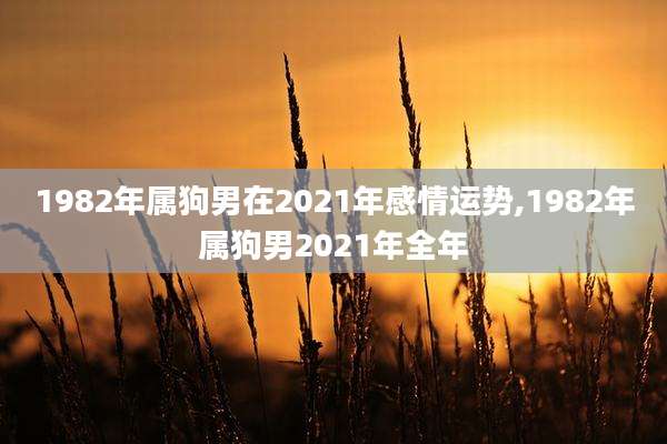 1982年属狗男在2021年感情运势,1982年属狗男2021年全年
