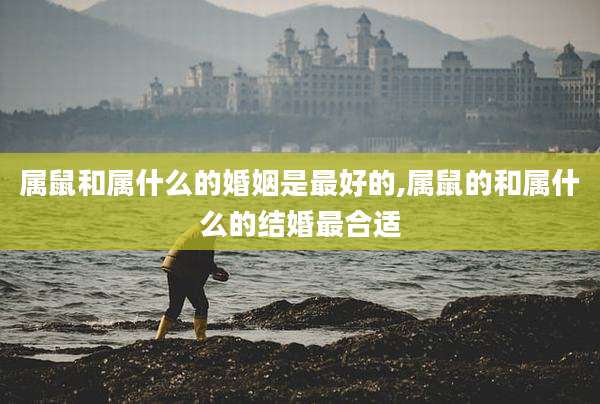 属鼠和属什么的婚姻是最好的,属鼠的和属什么的结婚最合适